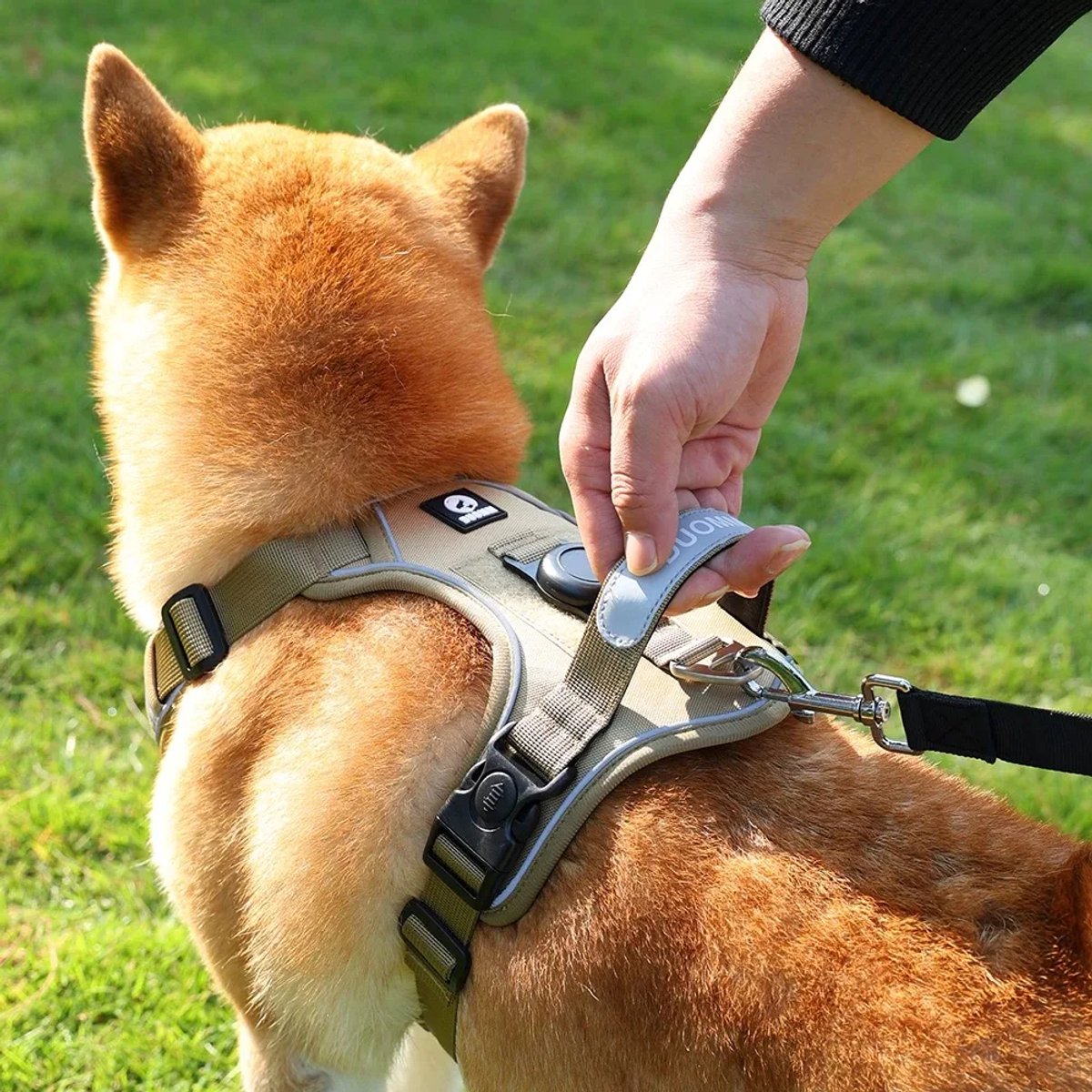 shiba inu hondentuigje